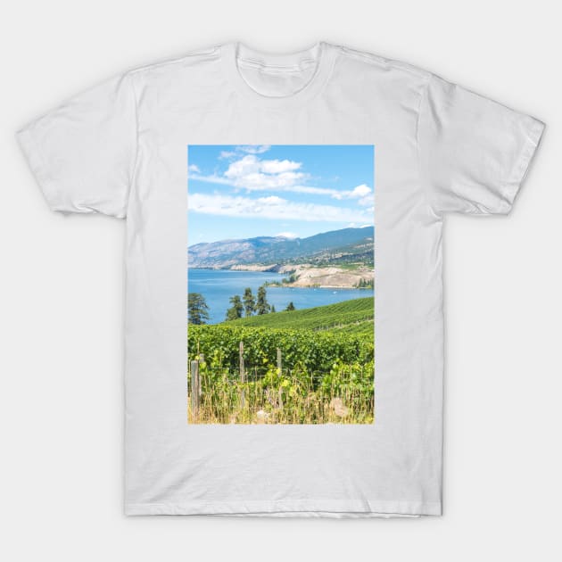 Summer View of Vineyards and Okanagan Lake T-Shirt by Amy-K-Mitchell